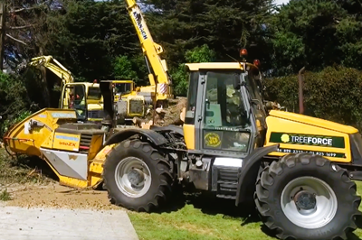 Tree Surgeons Meath