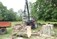 Tree Surgeons Lucan and Leixlip