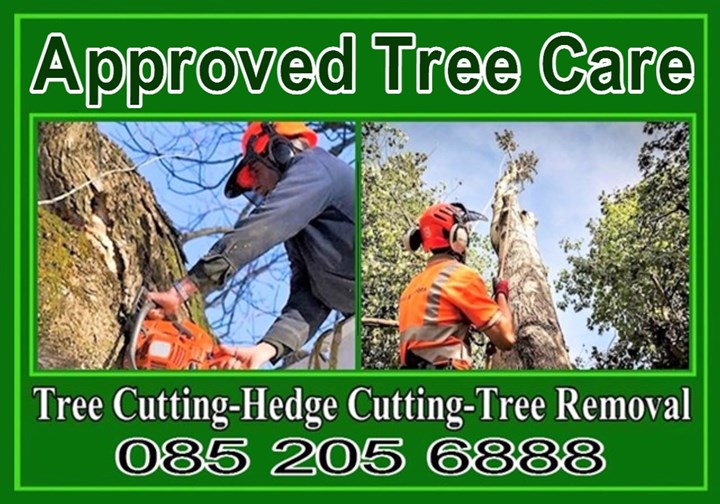 Approved Tree Care - Tree Surgeon Nationwide