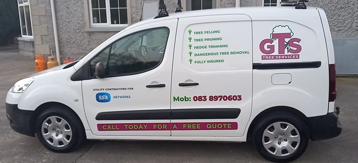 Donegal tree surgeon
