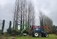 Tree Surgeon Kildare