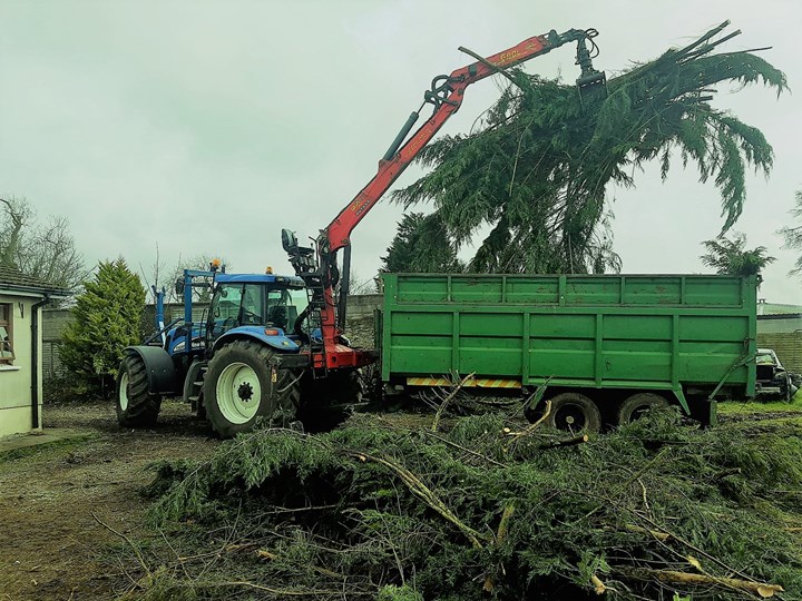 image of tree clearance from Worrell Tree Services