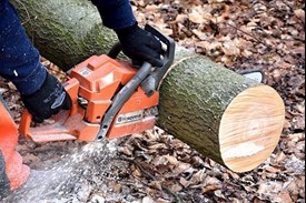 Tree cutting and tree felling Monaghan