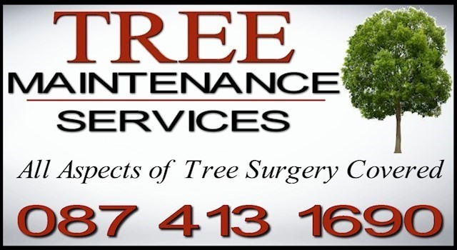 Tree surgeon North East, logo