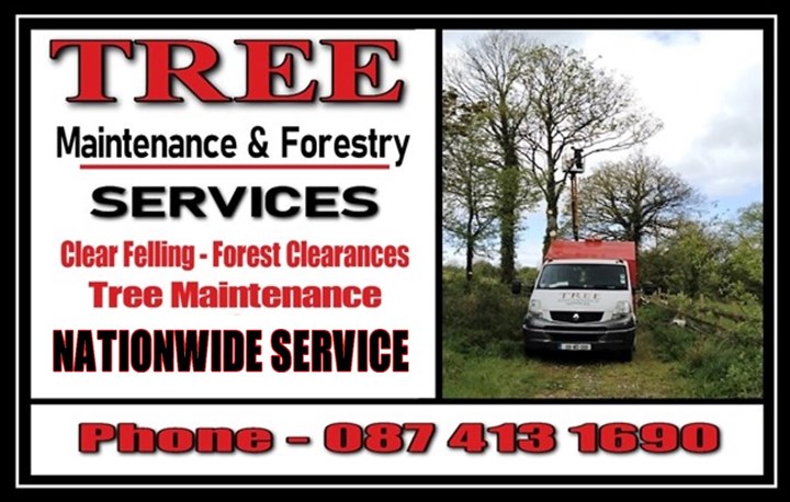 Tree Maintenance Services Northeast - Header image