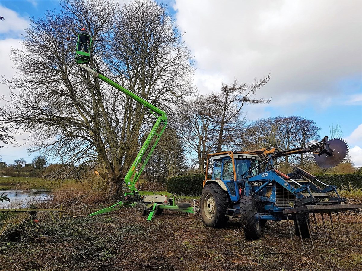 roadside hedge cutting from Worrell Tree Services