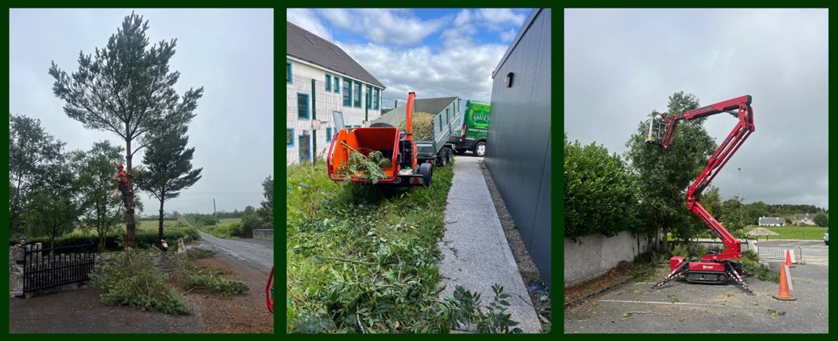 Tree pruning and hedge cutting in Limerick carried out by Paul's Property Maintenance - Tree Surgeons Limerick