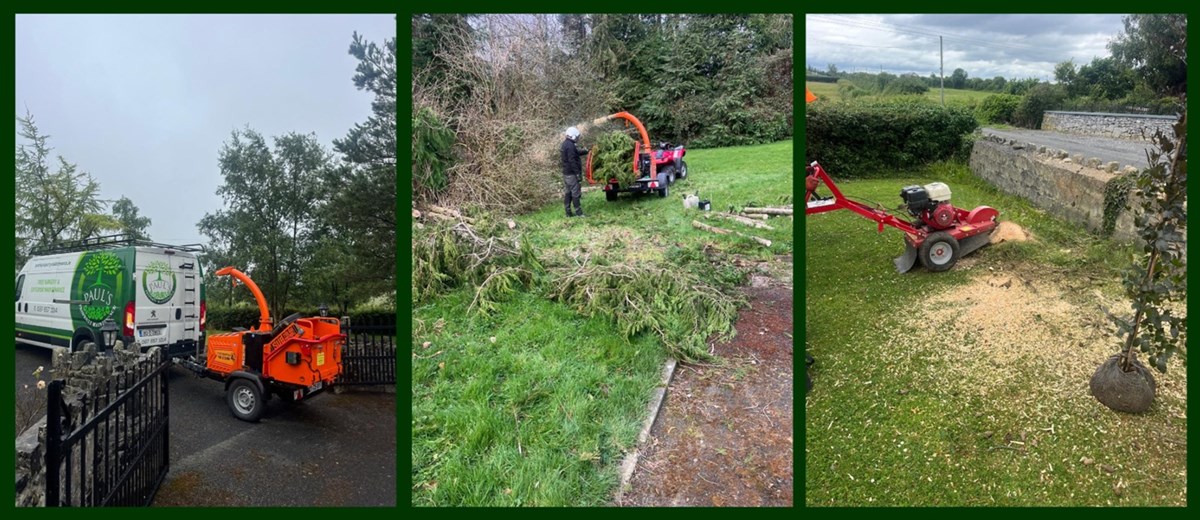Emergency tree removal in Limerick carried out by Paul's Property Maintenance - Tree Surgeons Limerick