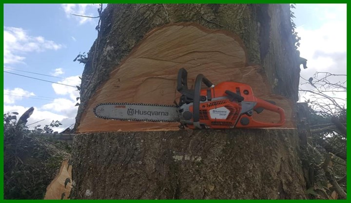 Tree felling and tree cutting in Longford - carried out by RS Services