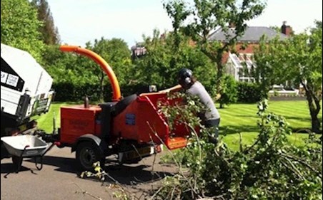 Tree surgery in Waterford - Approved Tree Care