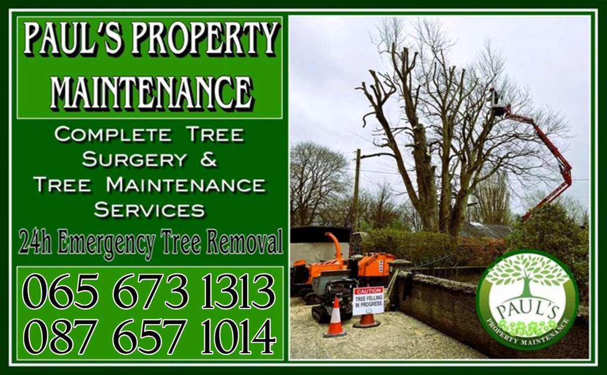 Paul's Property Maintenance - Tree Surgeons Clare