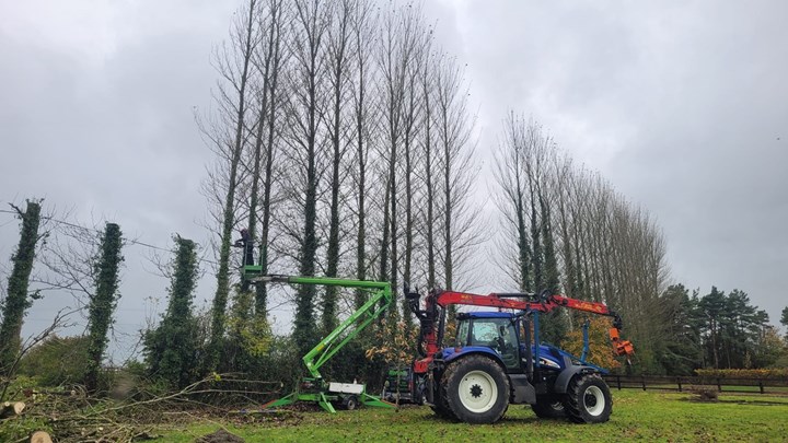 Tree surgery in Laois from Worrell Tree Services