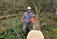 Tree Surgeon Leitrim