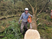 Tree Surgeon Leitrim