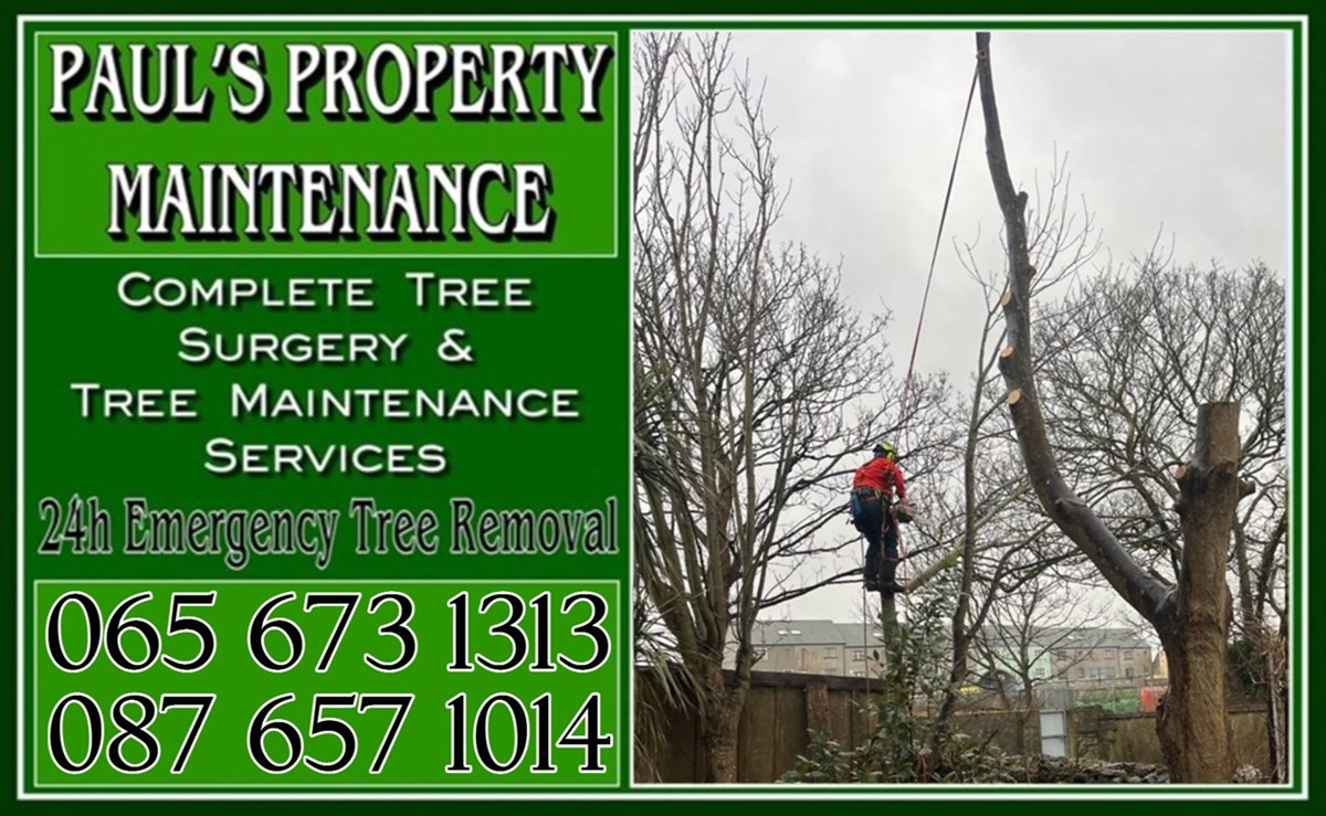 Tree Surgeons Limerick - Paul's Property Maintenance 