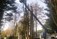 Tree Surgeons Lucan and Leixlip