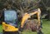 Tree Surgeons Lucan and Leixlip