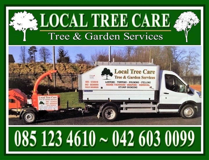 Tree surgery in Malahide is provided by Local Tree Care