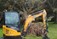 Tree Surgeons Meath