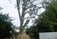 Tree Surgeons Meath