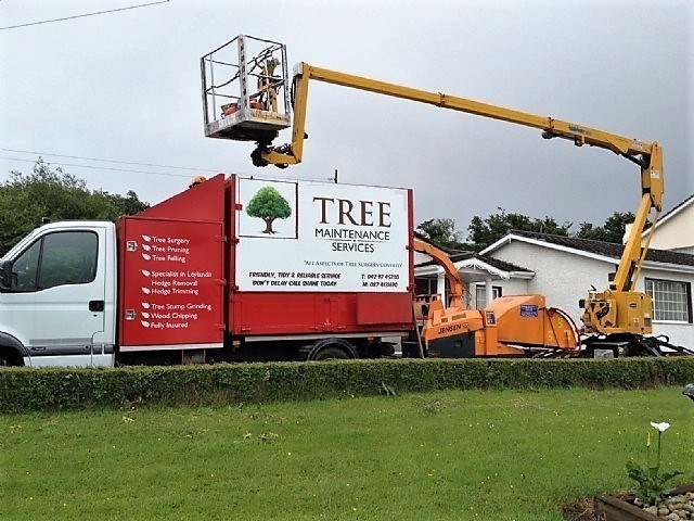 Tree Maintenance Services Northeast