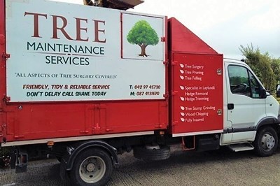 North East tree surgeons -