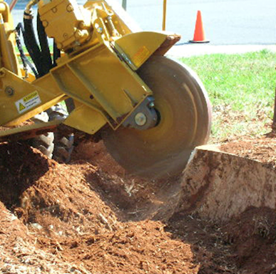 Tree stump grinding Waterford - Approved Tree Care