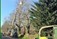 Tree Surgeons Wexford. Kehoe & Kehoe Tree Services