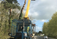 Tree Surgeons Wexford. Kehoe & Kehoe Tree Services
