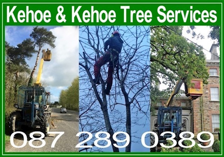 Kehoe & Kehoe Tree Services, logo