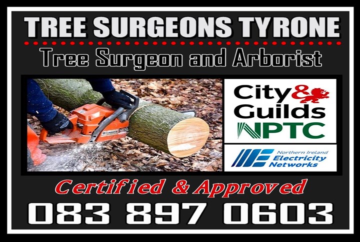 Tree Surgeons Tyrone - GTS Tree Services