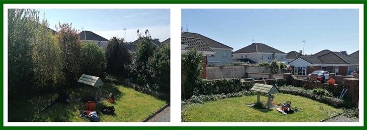 Hedge cutting in Malahide is provided by Local Tree Care