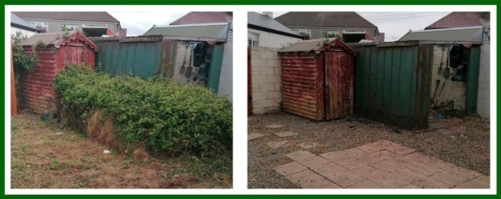 Shrub clearance in Malahide is carried out by Local Tree Care