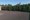 Malahide Tree Surgeons -