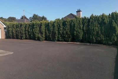 Malahide Tree Surgeons -