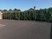 Tree Surgeon Malahide