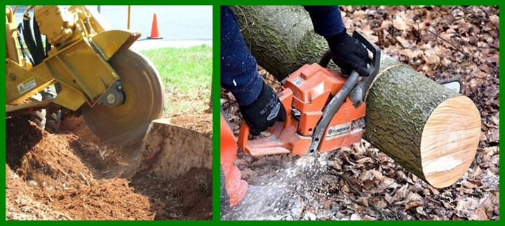 Tree surgery and tree cutting in Donegal is carried out by Donegal Tree Surgeons