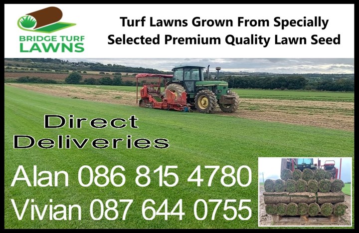 Turf lawn grass grown in North County Dublin