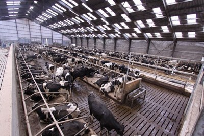 CONDON ENGINEERING Ltd