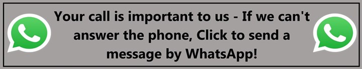 Send WhatsApp message to Michael now