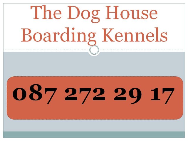 boarding kennels westmeath