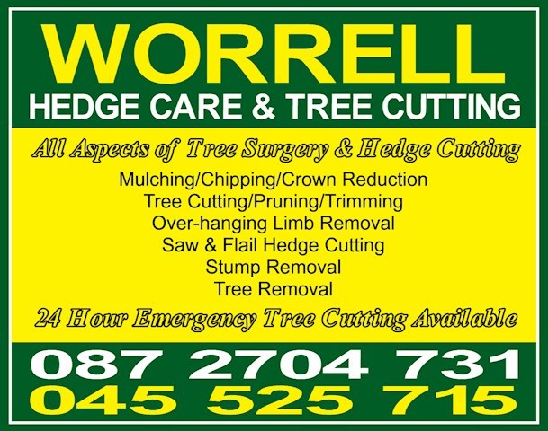 Image of Worrell Tree Services header, tree cutting and hedge cutting in Offaly is carried out by Worrell Tree Services